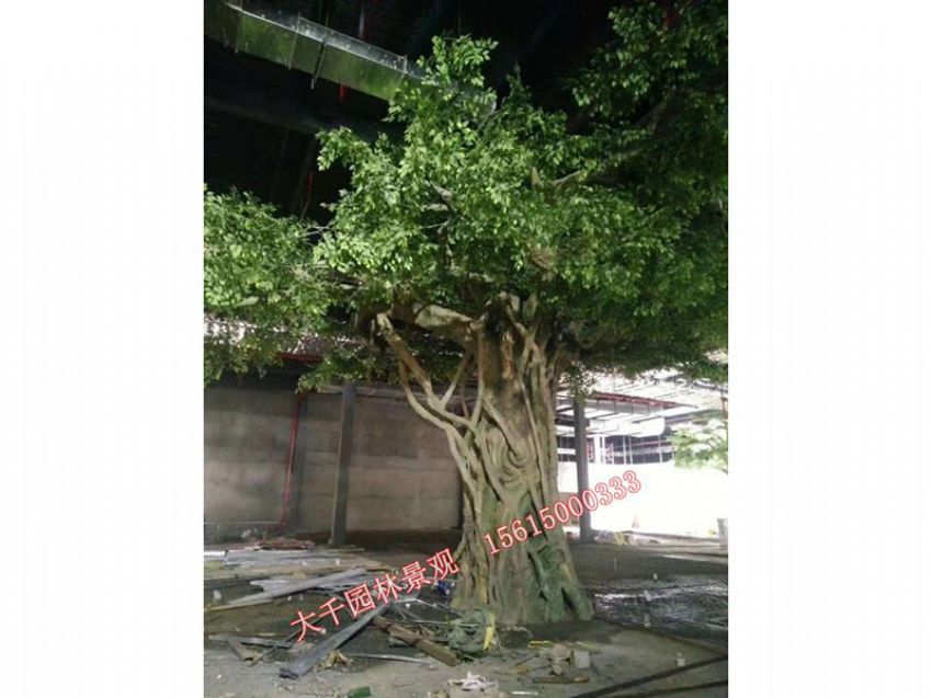 點(diǎn)擊查看詳細(xì)信息<br>標(biāo)題：假樹(shù) 閱讀次數(shù)：2382