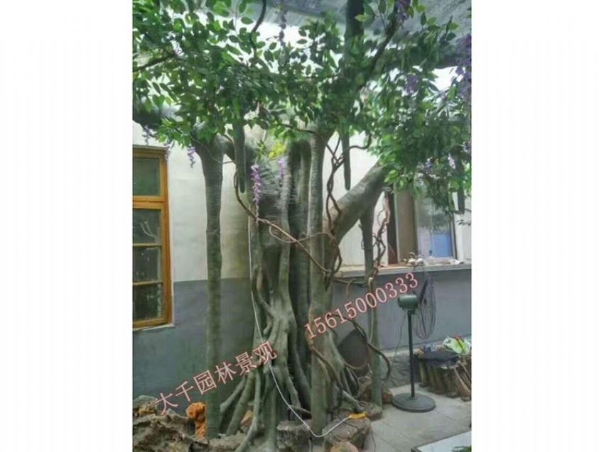 點(diǎn)擊查看詳細(xì)信息<br>標(biāo)題：假樹(shù) 閱讀次數(shù)：2430